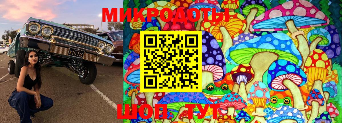 Галлюциногенные грибы мухоморы Псков