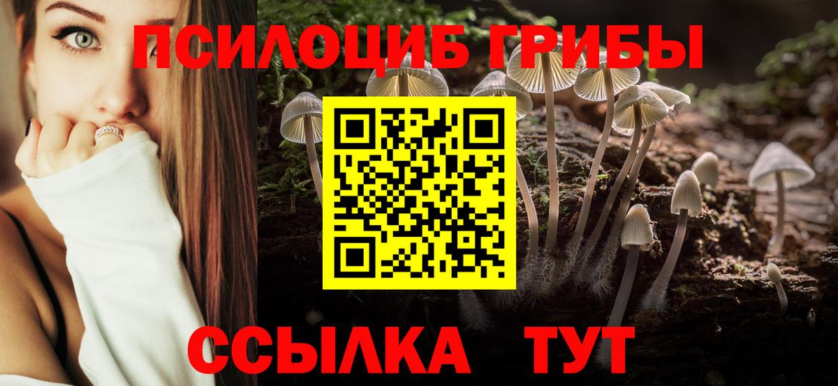 Псилоцибиновые грибы ЛСД  Вход с VPN  купить  цена  Псков 